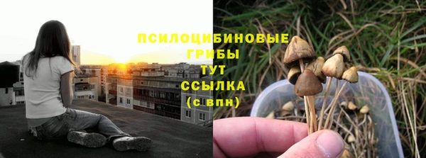 марки lsd Лагань